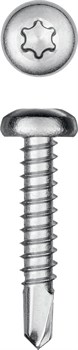 KRAFTOOL DS-P, 25 х 3.5 мм, А2, сверло, полукруглая головка, ТХ15, 600 шт, саморез нержавеющий (300931-35-025) 300931-35-025 - фото 126300