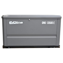 Генератор газовый EVOline GNG 13500 E GNG13500E - фото 234928