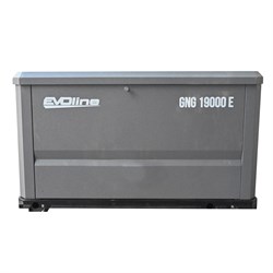 Генератор газовый EVOline GNG 19000 E GNG19000E - фото 234929