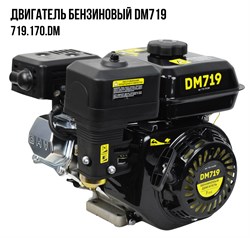 Двигатель бензиновый DM719 (7лс; диаметр 19мм;емкость картера 0,6л) 32шт/подд 719 170 DM - фото 392462