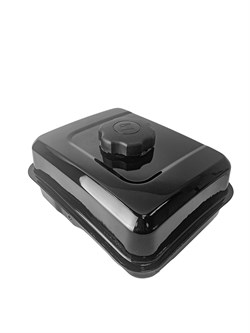 Бак топливный (с резьбой) BR-168F-2 (BR202P/220P) 12шт/уп 03 02 267 019