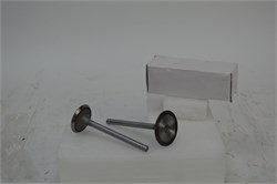 Клапан впускной и выпускной BR-192F (дизельный двигатель) 03 03 129 002