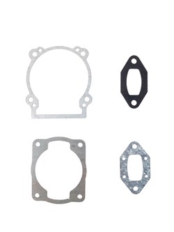 Набор прокладок опрыскивателя бенз. BGS430-14 27 03 013 019
