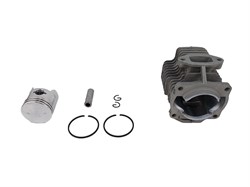 Поршневая группа опрыскивателя бенз. BGS430-14 22шт/кор 27 03 009 019