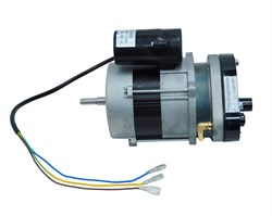 Электродвигатель в сборе для пушки тепловой дизельной BR-36AW, BR-22AIW 25 02 159 076