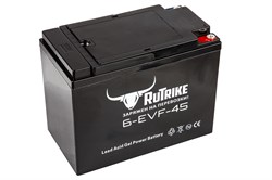 Тяговый аккумулятор RuTrike 6-EVF-45 (12V45A/H C3) 021663