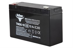 Аккумуляторная батарея RuTrike TNG6-10 (6V10A/H C20) 023984