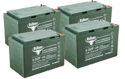 Комплект тяговых аккумуляторов RuTrike 6-DZF-24 (48V24A/H C2) 022932