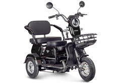 Электротрицикл Rutrike Gelbert Caf 48V/60V 600Вт Черный-3035 0000131-3035