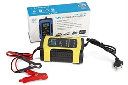 Зарядное устройство для свинцовых тяговых аккумуляторов SKN ZYX-J10 12V 6A (4Ah-100Ah) 023187