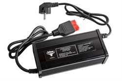 Зарядное устройство интеллектуальное для LiFePo4 аккумуляторов 24V50AH (12А) 024464