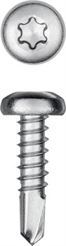 KRAFTOOL DS-P, 13 х 4.2 мм, А2, сверло, полукруглая головка, ТХ20, 600 шт, саморез нержавеющий (300931-42-013) 300931-42-013