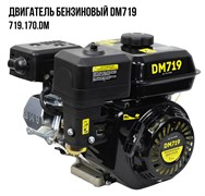 Двигатель бензиновый DM719 (7лс; диаметр 19мм;емкость картера 0,6л) 32шт/подд 719 170 DM
