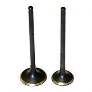 Клапан впускной и выпускной BR-178F(дизельный двигатель) 03 03 019 002