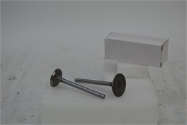 Клапан впускной и выпускной BR-188F (дизельный двигатель) 03 03 128 002