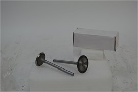 Клапан впускной и выпускной BR-192F (дизельный двигатель) 03 03 129 002