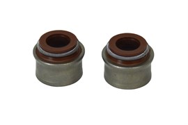 Маслосъемная чашка ВR-186F (сальник) (дизельный двигатель 9 л.с.) 03 03 075 002