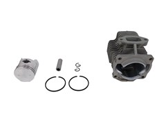 Поршневая группа опрыскивателя бенз. BGS430-14 22шт/кор 27 03 009 019