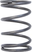 Пружина клапанов двигателя BR-168F-2  (BR202P) 10шт/уп 03 02 124 019