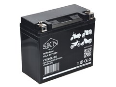 Аккумулятор стартерный для мототехники SKN YTX20L-BS (12V/18Ah/270A) [CT 12201, YTX20HL-BS] 0000125