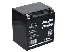 Аккумулятор стартерный для мототехники SKN YTX30L-BS (12V/30Ah/300A) [CT 1230, YTX30L] 0000126