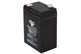 Аккумуляторная батарея RuTrike TNG6-4,5 (6V4,5A/H C20) 023980