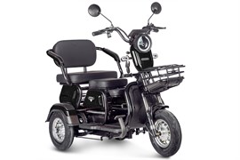 Электротрицикл Rutrike Gelbert Caf 48V/60V 600Вт Черный-3035 0000131-3035