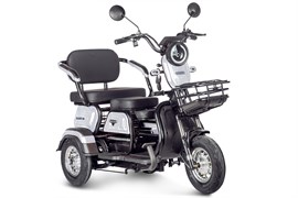 Электротрицикл Rutrike Gelbert Caf 48V/60V 600Вт Белый-3039 0000131-3039