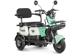 Электротрицикл Rutrike Gelbert Vega 48V/60V 600Вт Зеленый-3065 0000136-3065