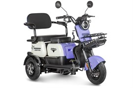 Электротрицикл Rutrike Gelbert Vega 48V/60V 600Вт Фиолетовый-3067 0000136-3067