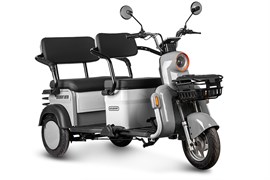 Электротрицикл Rutrike Gelbert Beta 48V/60V 800Вт Серебристо-белый-3032 0000256-3032