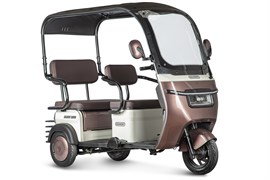 Электротрицикл Rutrike Gelbert Sarin 48V/60V 1000Вт Коричнево-белый-3054 0000260-3054