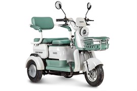 Электротрицикл Rutrike Gelbert Mercury 48V/60V 650Вт Зеленый-3049 0000265-3049