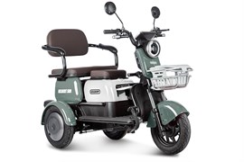 Электротрицикл Rutrike Gelbert Sun 48V/60V 650Вт Зелено-белый-3057 0000271-3057