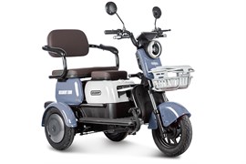 Электротрицикл Rutrike Gelbert Sun 48V/60V 650Вт Фиолетово-белый-3060 0000271-3060