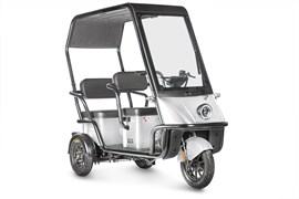 Электротрицикл Wanshida NIPLA 500 60V 1000Вт Черно-белый-3087 0000296-3087