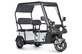 Электротрицикл Wanshida NIPLA 570 60V 1000Вт Зеленый-3089 0000299-3089