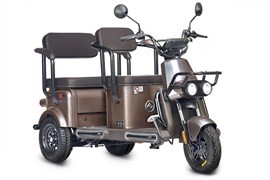 Электротрицикл Wanshida U1-X 60V 800Вт Коричневый-3093 0000307-3093