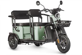 Электротрицикл Wanshida LC300 60V 1000Вт Зеленый-3076 0000310-3076