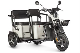 Электротрицикл Wanshida LC300 60V 1000Вт Серый-3077 0000310-3077