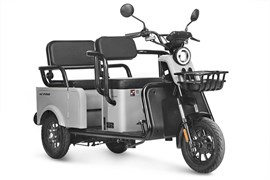 Электротрицикл Wanshida LC-F150 60V 1000Вт Серый-3079 0000315-3079