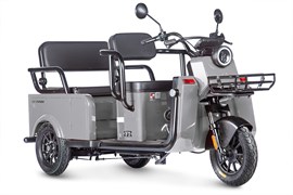 Электротрицикл Wanshida LC-F200 60V 1000Вт Серый-3082 0000320-3082