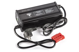 Зарядное устройство для свинцовых тяговых аккумуляторов 24V60AН (10A) Anderson 024210