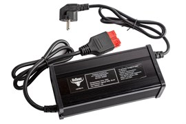 Зарядное устройство интеллектуальное для LiFePo4 аккумуляторов 24V50AH (12А) 024464