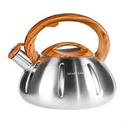 Чайник со свистком Galaxy Line GL9206 7030892060