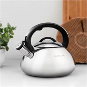 Чайник со свистком Galaxy Line GL9207 7030892070