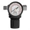 Регулятор давления с манометром R1500, 12 бар,1/4"//Denzel 57491