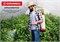 GRINDA Handy Spray, 16 л, на колёсах, с широкой горловиной, опрыскиватель (8-425163) 8-425163