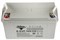 Тяговый аккумулятор RuTrike 6-EVF-120 (12V120A/H C3) 021949