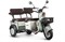 Электротрицикл Rutrike Gelbert Beta 48V/60V 800Вт Зелено-белый-3030 0000256-3030